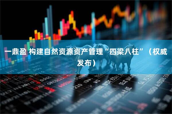 一鼎盈 构建自然资源资产管理“四梁八柱”（权威发布）