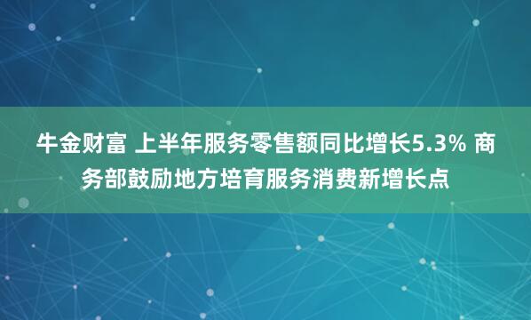 牛金财富 上半年服务零售额同比增长5.3% 商务部鼓励地方培育服务消费新增长点